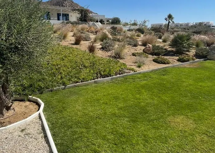 Salt מיקרי ויגלה